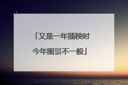 又是一年插秧时 今年图景不一般