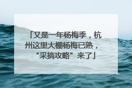 又是一年杨梅季，杭州这里大棚杨梅已熟，“采摘攻略”来了