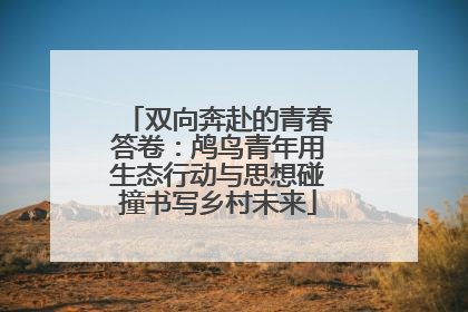 双向奔赴的青春答卷：鸬鸟青年用生态行动与思想碰撞书写乡村未来