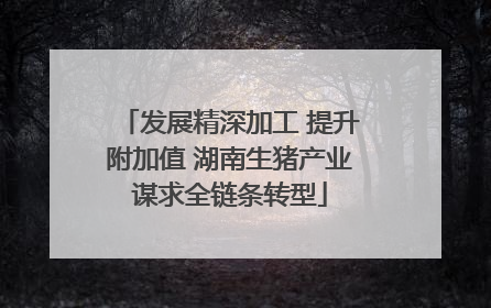 发展精深加工 提升附加值 湖南生猪产业谋求全链条转型
