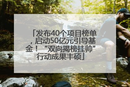 发布40个项目榜单，启动50亿元引导基金！“双向揭榜挂帅”行动成果丰硕