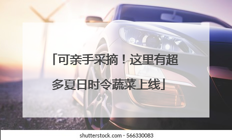 可亲手采摘！这里有超多夏日时令蔬菜上线