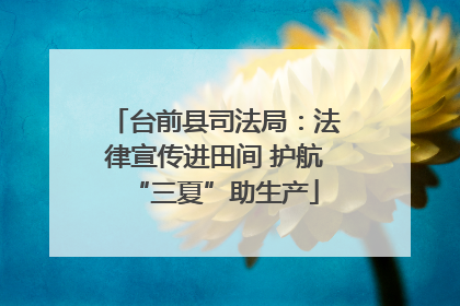 台前县司法局：法律宣传进田间 护航“三夏”助生产