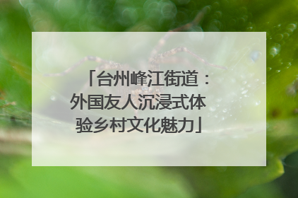 台州峰江街道：外国友人沉浸式体验乡村文化魅力