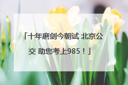 十年磨剑今朝试 北京公交 助您考上985！