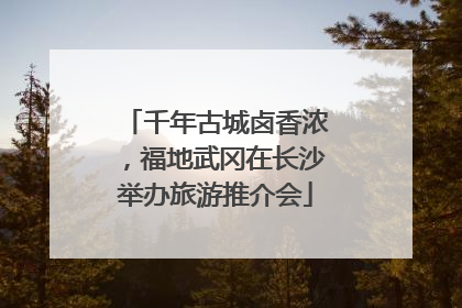 千年古城卤香浓，福地武冈在长沙举办旅游推介会