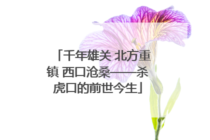 千年雄关 北方重镇 西口沧桑——杀虎口的前世今生
