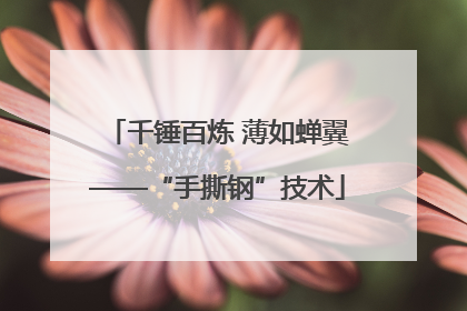 千锤百炼 薄如蝉翼——“手撕钢”技术