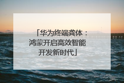 华为终端龚体：鸿蒙开启高效智能开发新时代