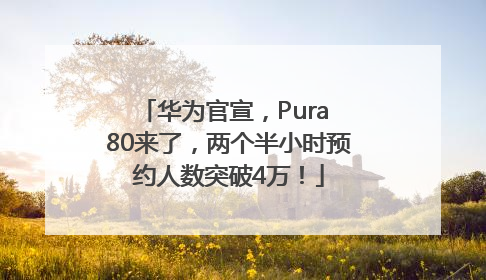 华为官宣，Pura 80来了，两个半小时预约人数突破4万！