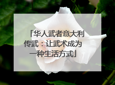 华人武者意大利传武：让武术成为一种生活方式