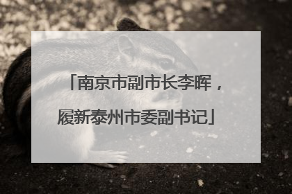 南京市副市长李晖，履新泰州市委副书记