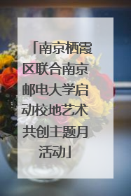 南京栖霞区联合南京邮电大学启动校地艺术共创主题月活动