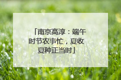 南京高淳：端午时节农事忙，夏收夏种正当时