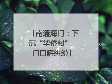 南通海门：下沉“华侨村” 门口解纠纷