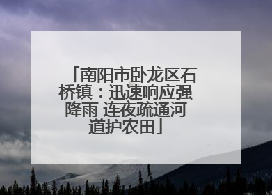 南阳市卧龙区石桥镇：迅速响应强降雨 连夜疏通河道护农田
