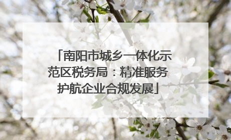 南阳市城乡一体化示范区税务局：精准服务护航企业合规发展
