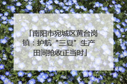 南阳市宛城区黄台岗镇：护航“三夏”生产 田间抢收正当时