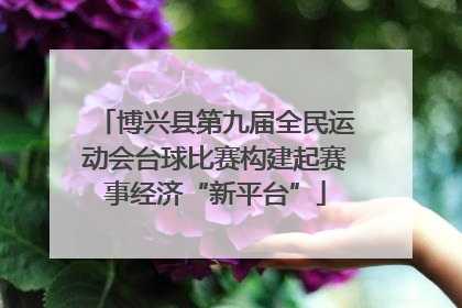 博兴县第九届全民运动会台球比赛构建起赛事经济“新平台”