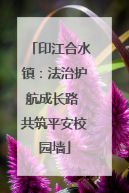 印江合水镇：法治护航成长路 共筑平安校园墙