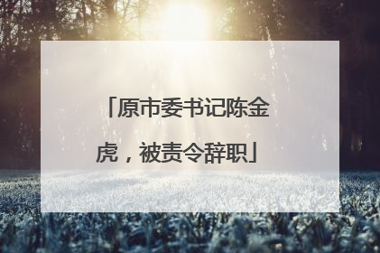 原市委书记陈金虎，被责令辞职