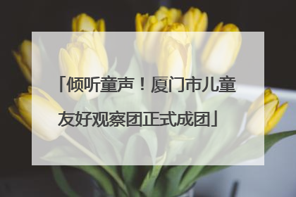 倾听童声！厦门市儿童友好观察团正式成团