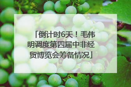 倒计时6天！毛伟明调度第四届中非经贸博览会筹备情况