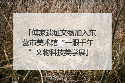 傅家遗址文物加入东营市美术馆“一眼千年”文物科技美学展
