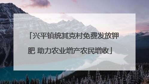 兴平镇统其克村免费发放钾肥 助力农业增产农民增收