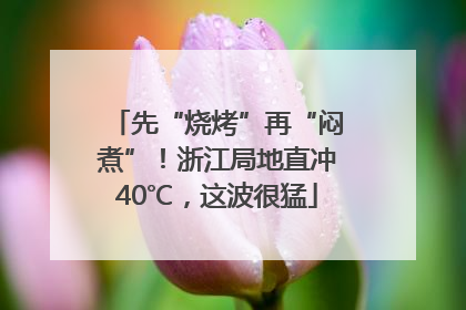先“烧烤”再“闷煮”！浙江局地直冲40℃，这波很猛