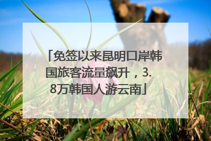 免签以来昆明口岸韩国旅客流量飙升，3.8万韩国人游云南