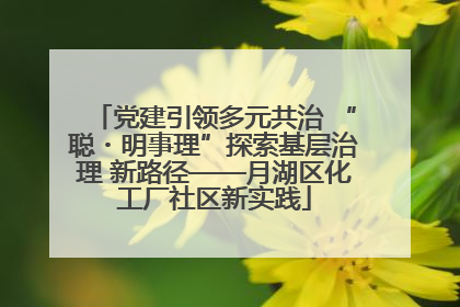 党建引领多元共治 “聪・明事理”探索基层治理 新路径——月湖区化工厂社区新实践