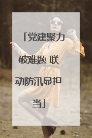 党建聚力破难题 联动防汛显担当