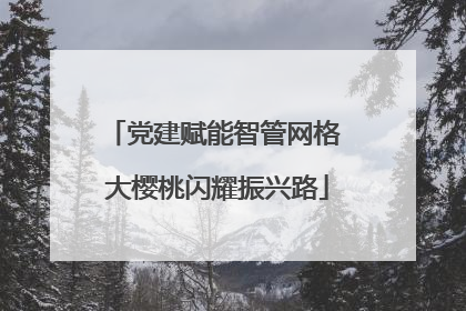 党建赋能智管网格 大樱桃闪耀振兴路