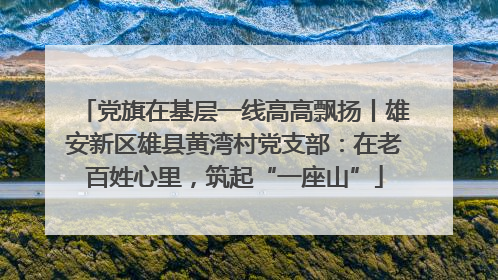 党旗在基层一线高高飘扬丨雄安新区雄县黄湾村党支部：在老百姓心里，筑起“一座山”