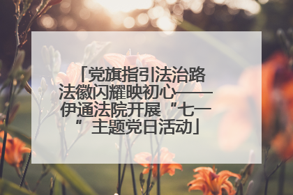 党旗指引法治路 法徽闪耀映初心——伊通法院开展“七一”主题党日活动