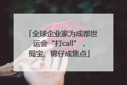 全球企业家为成都世运会“打call”，蜀宝、锦仔成焦点