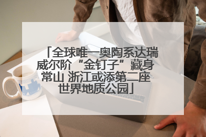 全球唯一奥陶系达瑞威尔阶“金钉子”藏身常山 浙江或添第二座世界地质公园
