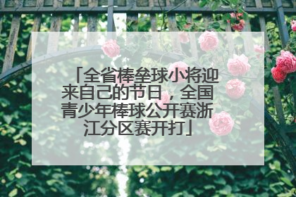 全省棒垒球小将迎来自己的节日，全国青少年棒球公开赛浙江分区赛开打