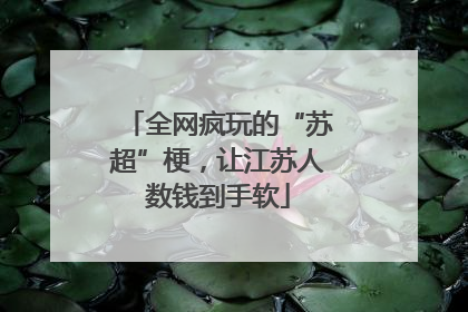 全网疯玩的“苏超”梗，让江苏人数钱到手软