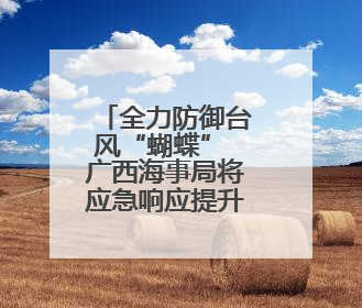 全力防御台风“蝴蝶” 广西海事局将应急响应提升为Ⅲ级