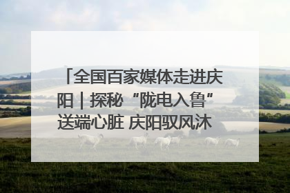 全国百家媒体走进庆阳｜探秘“陇电入鲁”送端心脏 庆阳驭风沐光点亮齐鲁万家