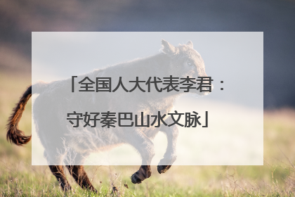 全国人大代表李君：守好秦巴山水文脉