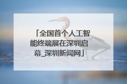 全国首个人工智能终端展在深圳启幕_深圳新闻网