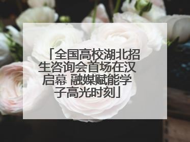 全国高校湖北招生咨询会首场在汉启幕 融媒赋能学子高光时刻