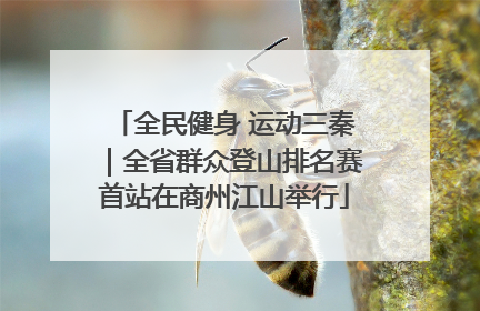 全民健身 运动三秦｜全省群众登山排名赛首站在商州江山举行