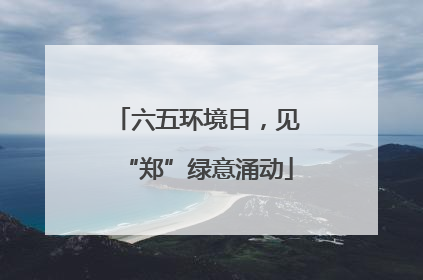六五环境日，见“郑”绿意涌动