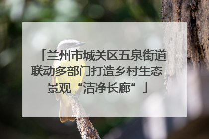 兰州市城关区五泉街道联动多部门打造乡村生态景观“洁净长廊”