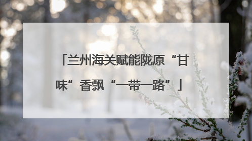 兰州海关赋能陇原“甘味”香飘“一带一路”
