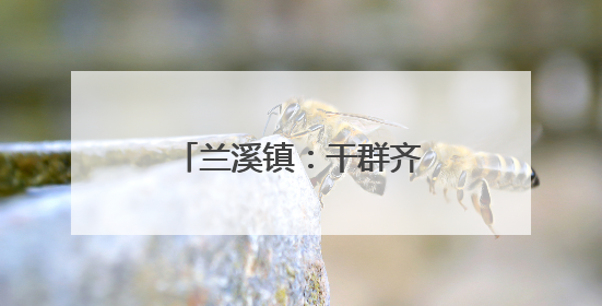 兰溪镇：干群齐聚屋场会，共绘乡村“靓”图景